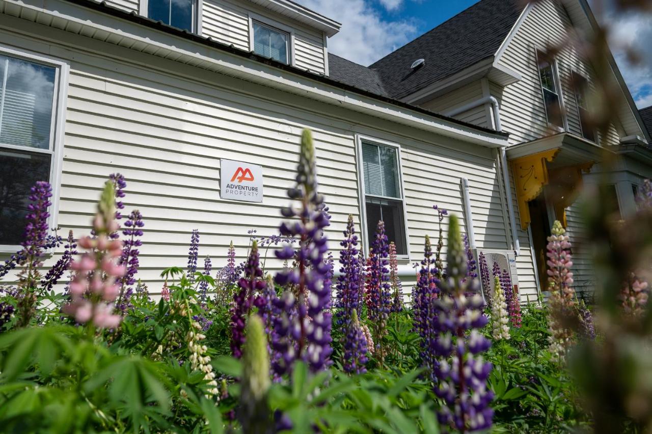 Modern Cozy Apt Hiking Skiing Touring 2nd Floor - B&B Whitefield