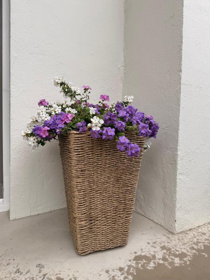 Peaceful Apartment - 10 min from Downtown Reykjavík - B&B Reykjavik