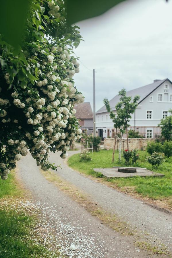 Flowland Tarczyn - B&B Tarczyn
