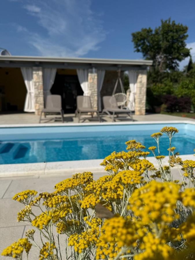 villa di rovigno - Bed and Breakfast Rovinj