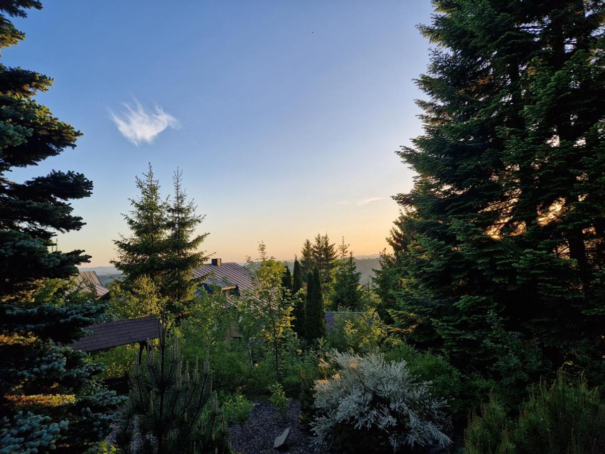 Appartement 1 Chambre avec Balcon et Vue sur les Montagnes 