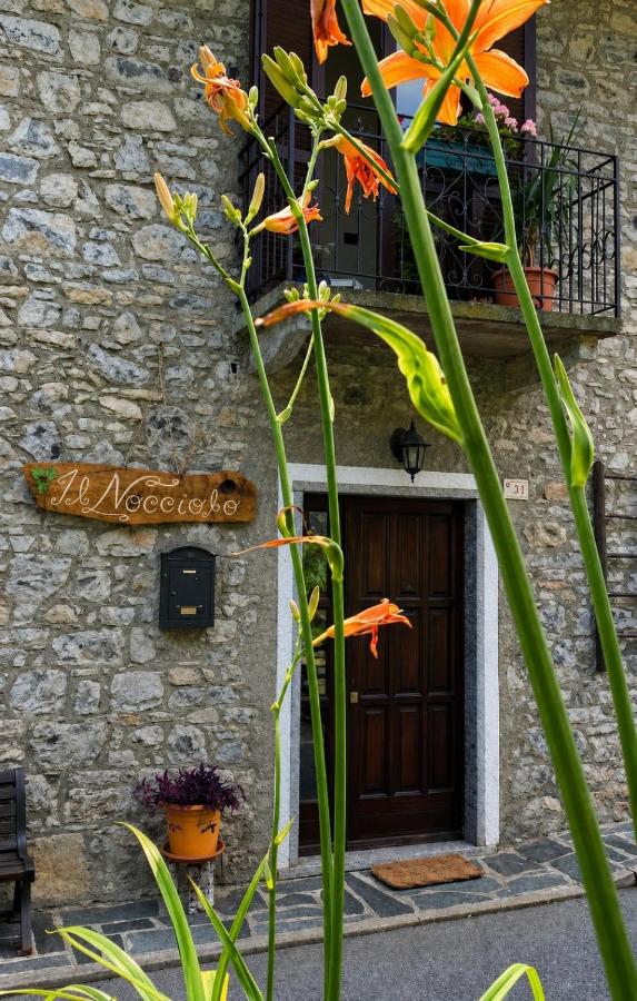 Il Nocciolo - B&B Grandola ed Uniti