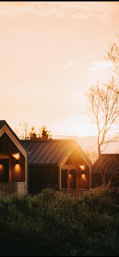 Golden Circle Cabins - Chambres d'hôtes Laugarvatn