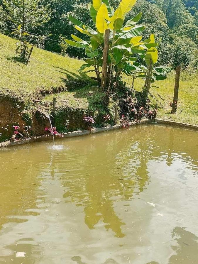 Casa Pereira - Chambres d'hôtes Visconde de Mauá