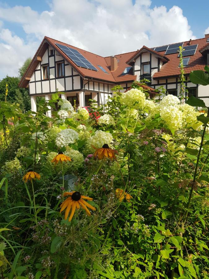 Agroturystyka Gandelinka Park Kędrzyno - B&B Kędrzyno