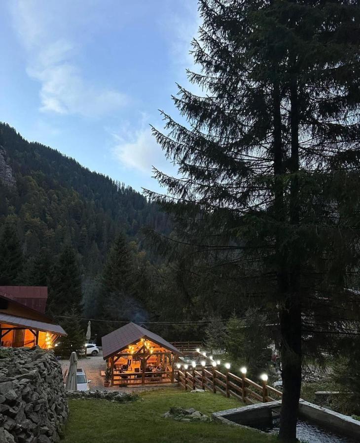 CABANA MARIA-PETRIMANU - B&B Ciungetu
