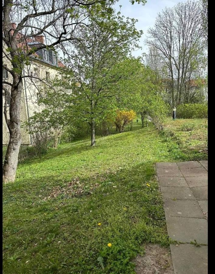 Schön - B&B Viena