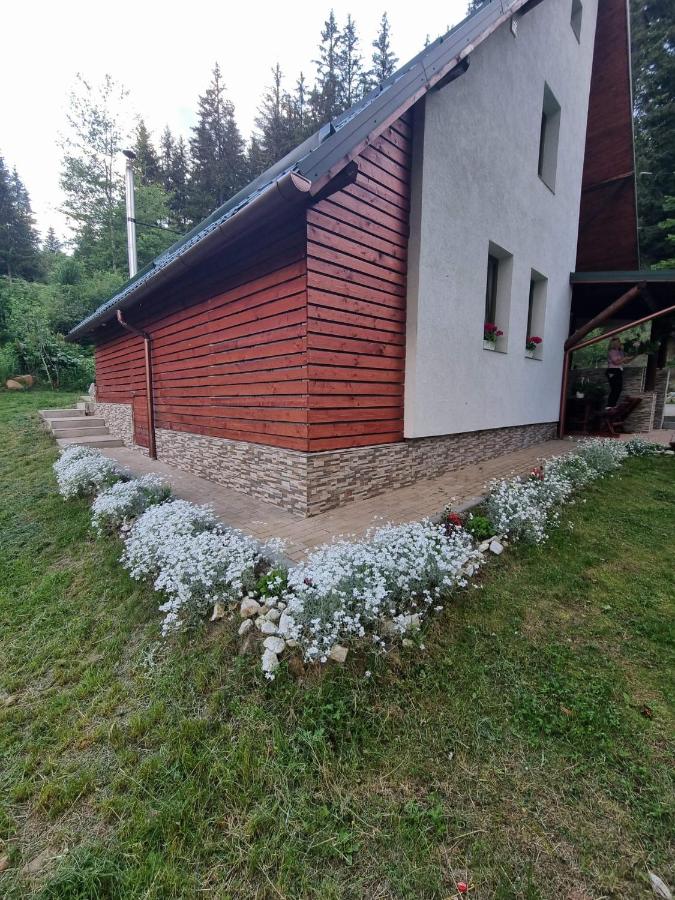 Star Panzió - Chambres d'hôtes Harghita-Băi