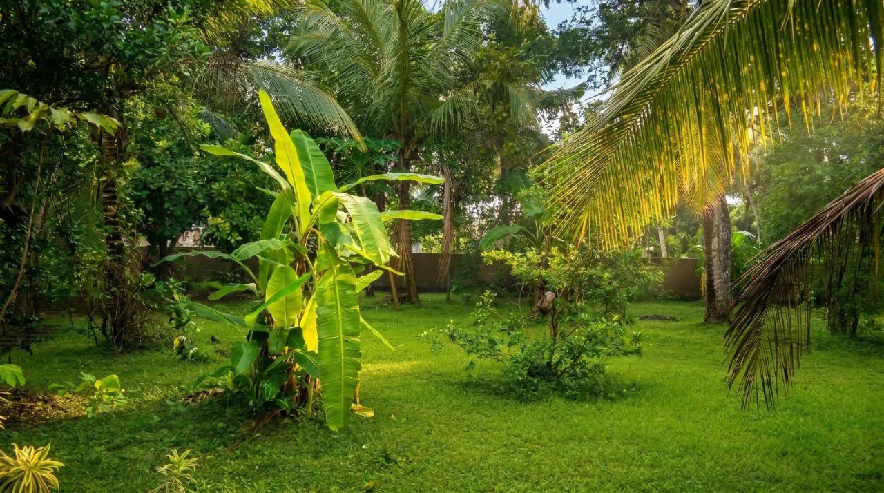 Aero Haven Transit Guest Negombo - B&B Katunayaka