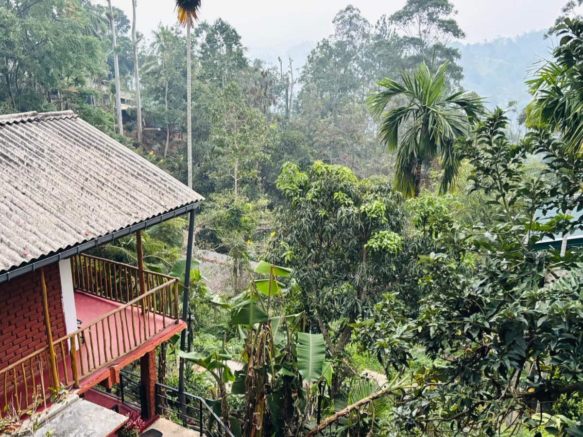 New Green View Guest House Ella - B&B Ella Town
