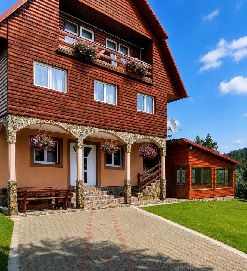 Cabana Ghetari - B&B Gheţari