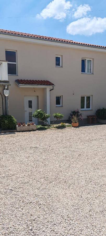 Oliva Garden Apartment - B&B Cirquenizza