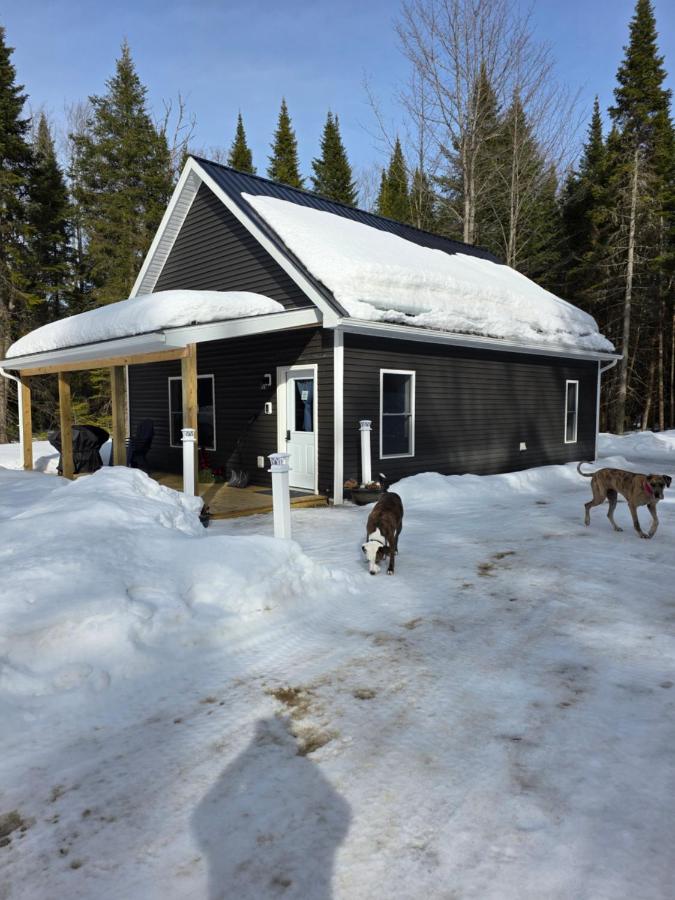 Adirondack Private Cabin New Construction - Bed and Breakfast Owls Head