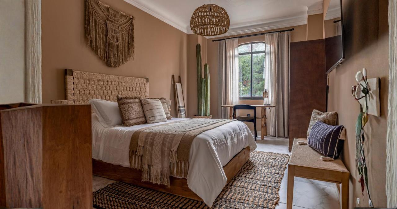 Barro Nero - B&B Mexico City