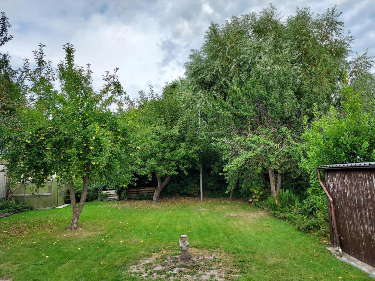 Ferienhaus Schmitt - B&B Büsumer Deichhausen