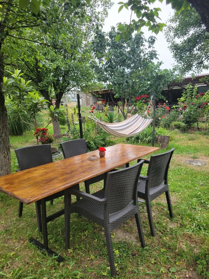 Tsinandali Wine cellar - Bed and Breakfast Ts’inandali