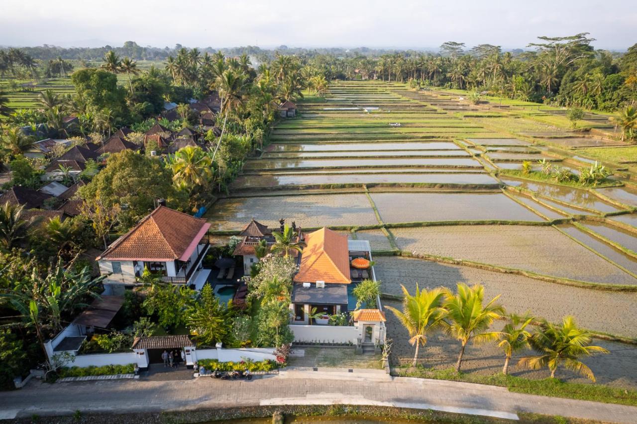 Dijero at Umah Bali - B&B Ubud