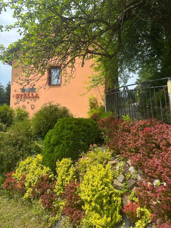 Całoroczny Domek pod Brzozami - B&B Polańczyk