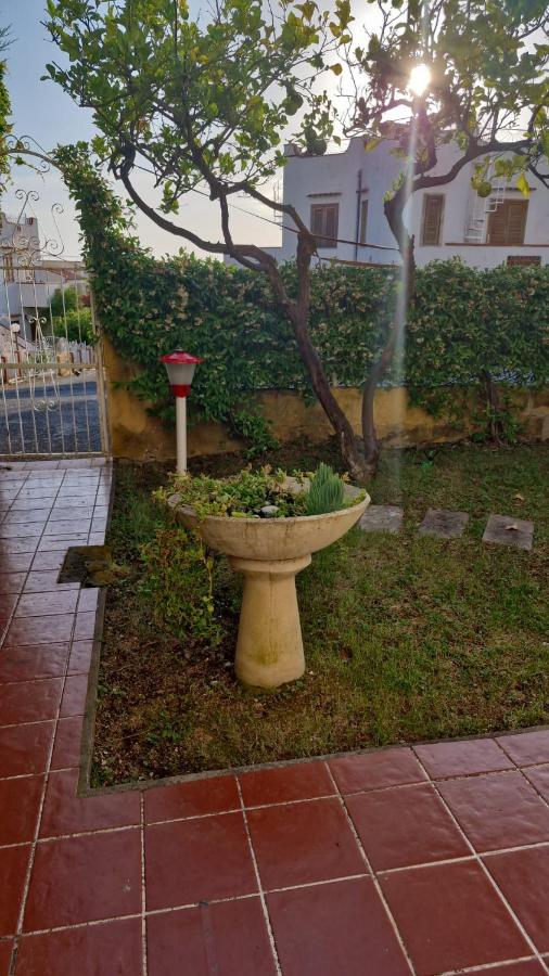 Casa Zio Tony sul mare - B&B San Nicola Arcella
