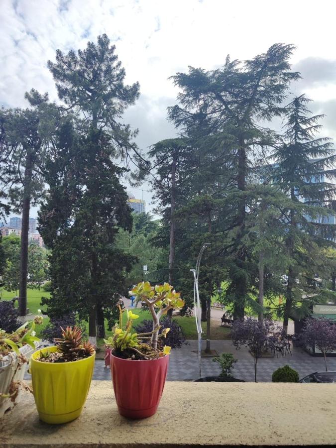 Central Park Apartment - Ferienwohnung Batumi