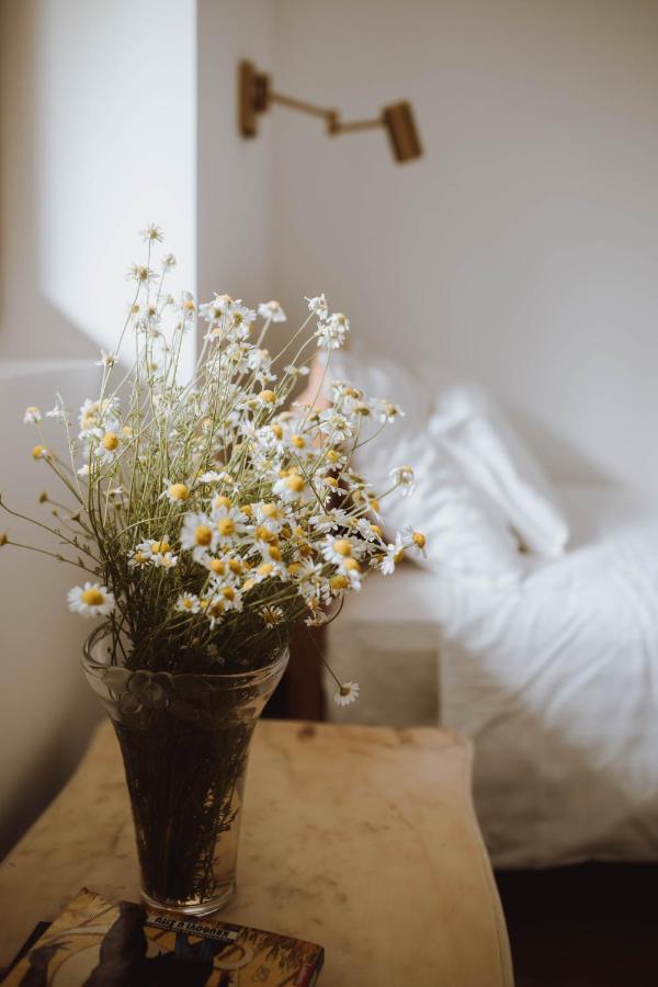 Nizija - Bed and Breakfast Sombor