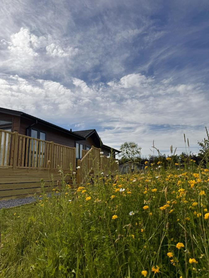 Hollicarrs - Thistle Lodge - B&B Riccall