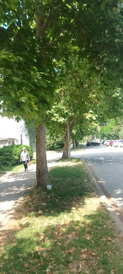 Apartman Lavanda - Ferienwohnung Vrdnik