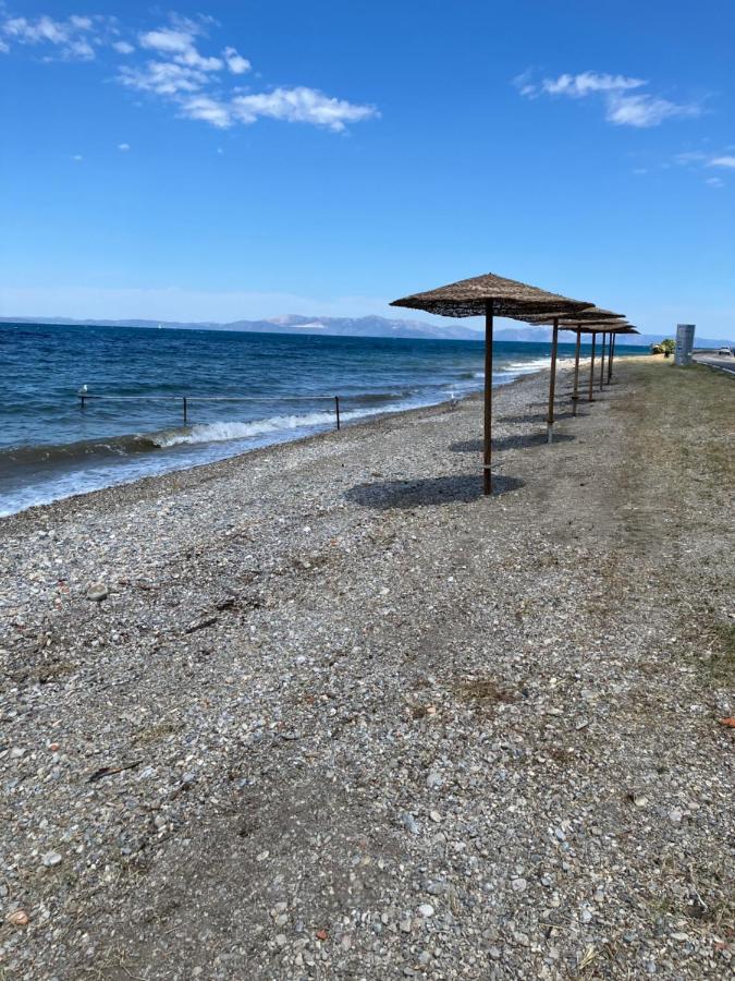Seaside apartment away from the city- Oropos, Attiki - B&B Oropós