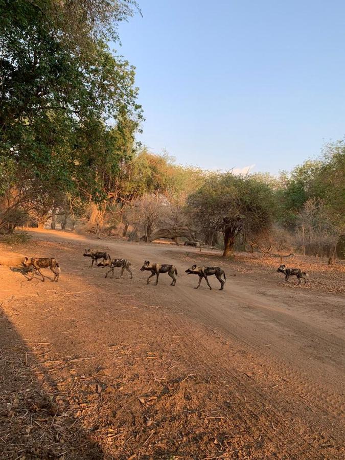 Affordable Lower Zambezi Safari Stay - B&B Chirundu