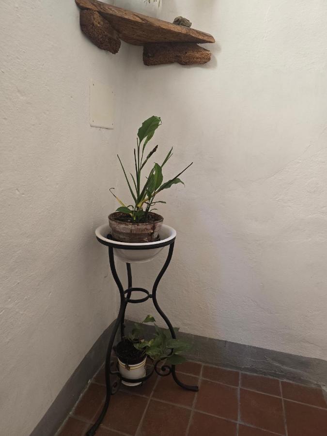 Due Borghi Guest House - Bed and Breakfast Pisa