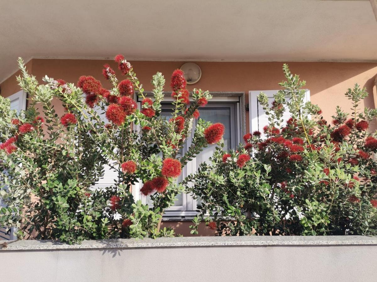 Roccesarde Apartment - Chambres d'hôtes Alghero