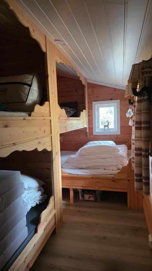 Fjellhytte Solsem helårsidyll på Lifjell - B&B Lyefjell