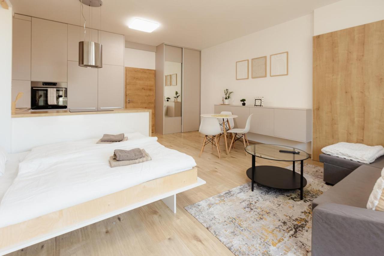 Central Studio Sancova Premier Suite - Chambres d'hôtes Bratislava