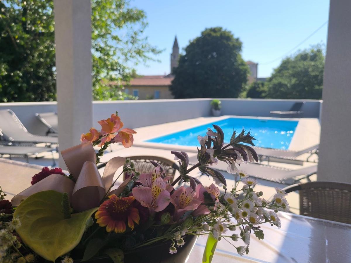 Apartment Šterna in Svetvincenat - Chambres d'hôtes Svetvinčenat