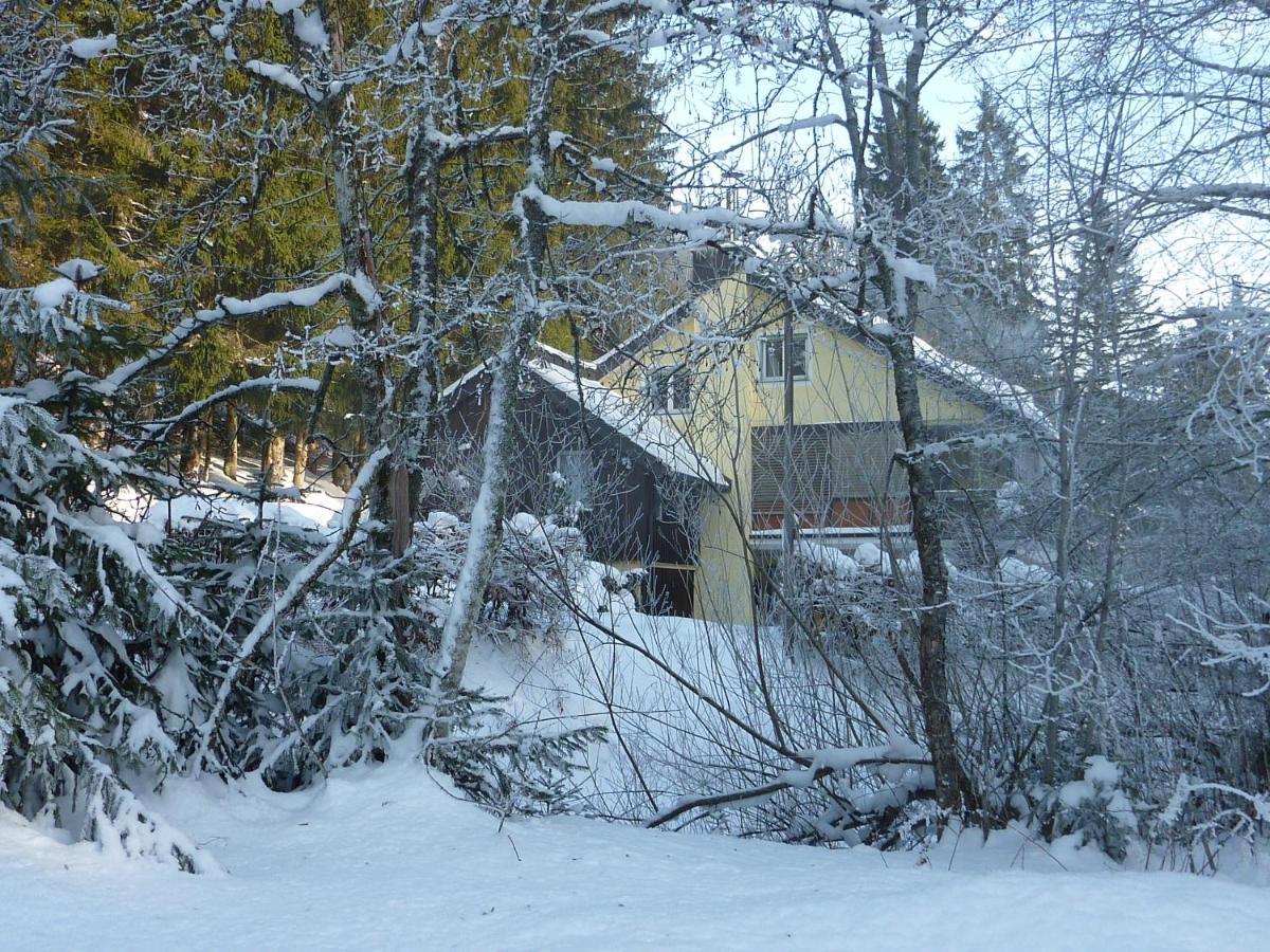 Apartment Schwarzwald Total - B&B