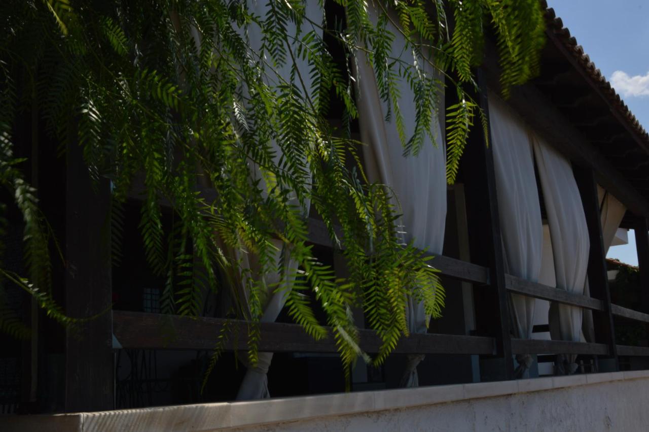 B&B Cinque Stelle Salento - B&B Marina di Mancaversa