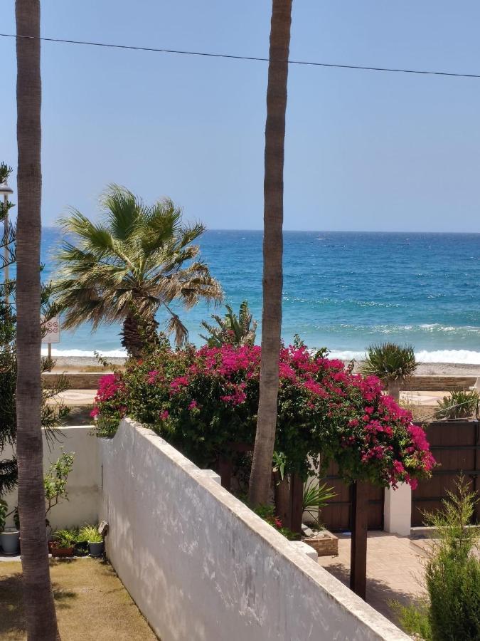 house las chuchas CALAHONDA - B&B Motril