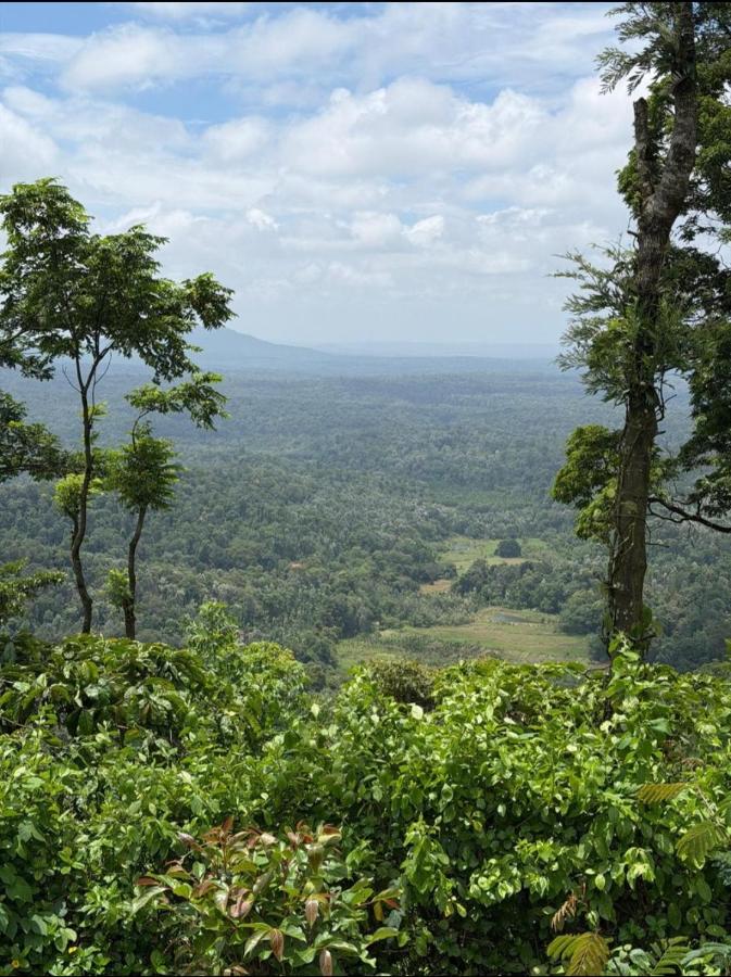 Coorg Misty Mountains Stay - Ferienwohnung Madikeri