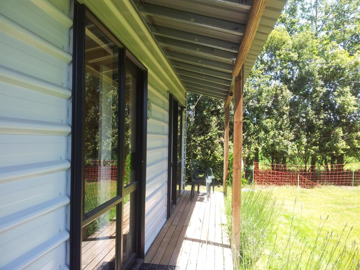 Cavendish Farm - B&B Kaiapoi