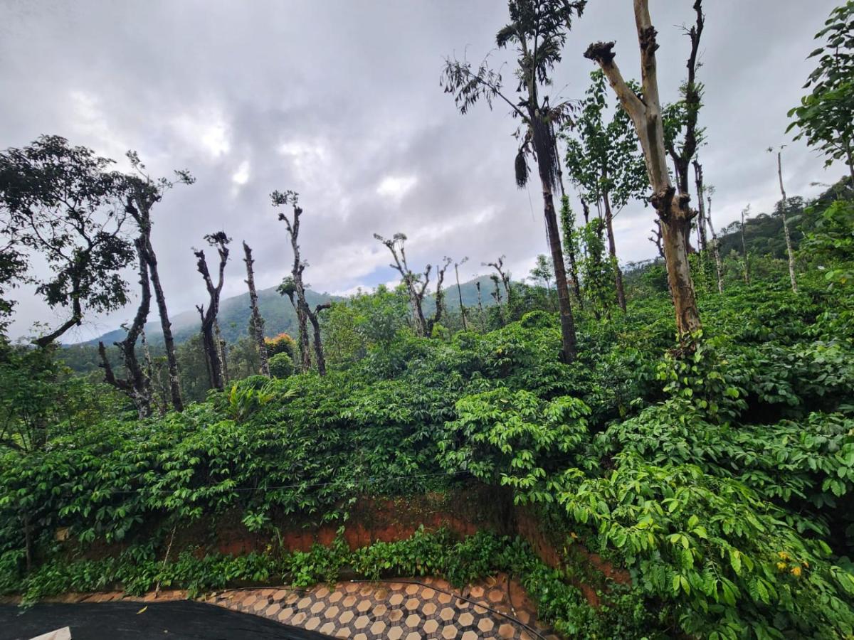 Shrunga Shreni Homestay - Near Bandaje trek and falls - Chambres d'hôtes Kalasa