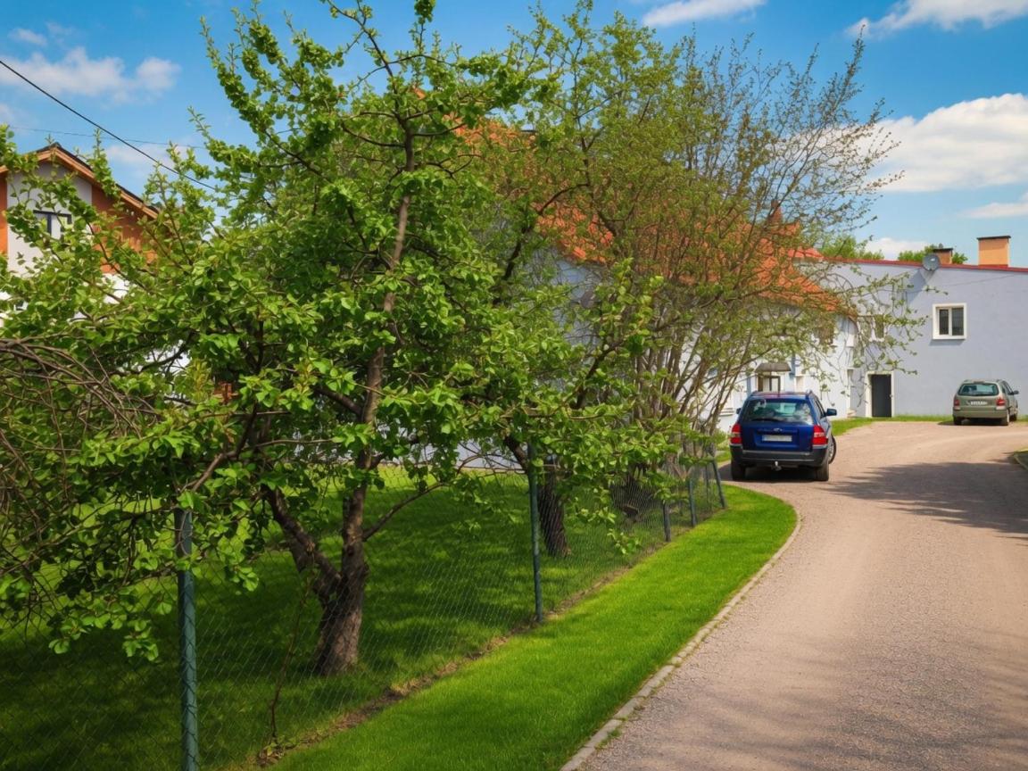 Kamienica Partyzantów - B&B Pasłęk
