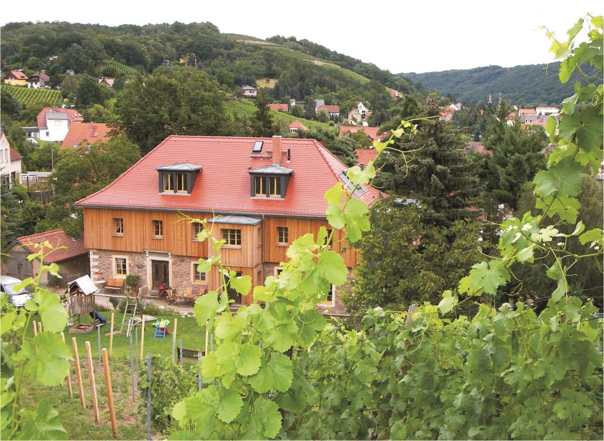 B&B Misnia - Weingut Mariaberg - Bed and Breakfast Misnia