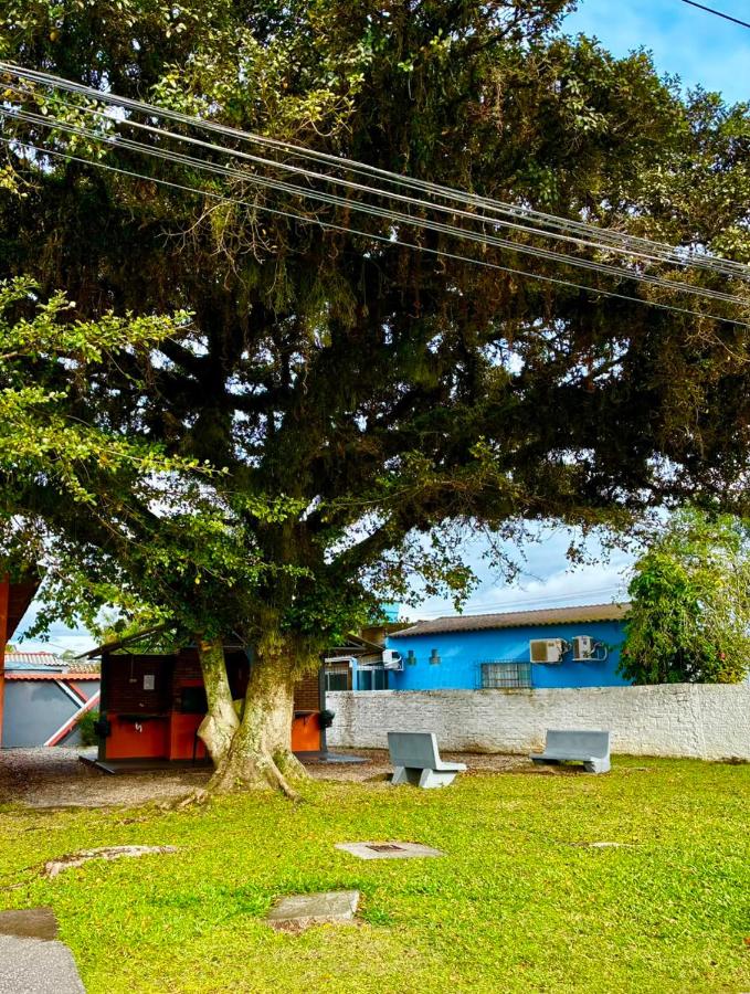 Apartamento aconchegante próx ao Treichel - B&B Pelotas