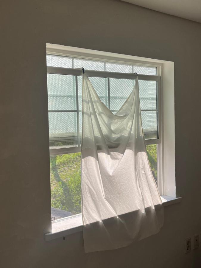 복층 스파 개별 테라스 애견 운동장 포마이코티지 3 숲속 집 cottage - B&B Hoengsŏng