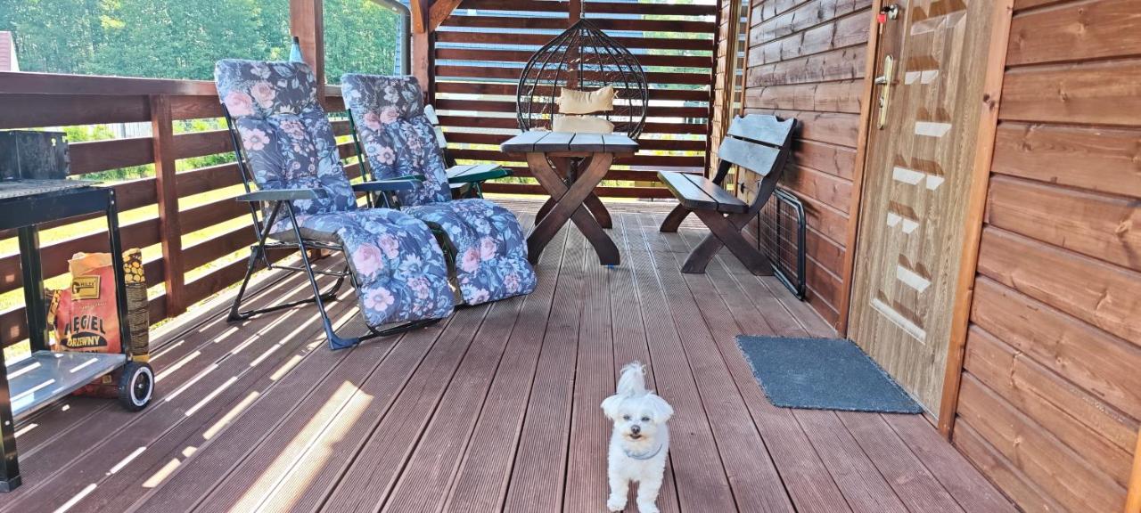 Domek letniskowy Marksoby Sarna - B&B Marksoby