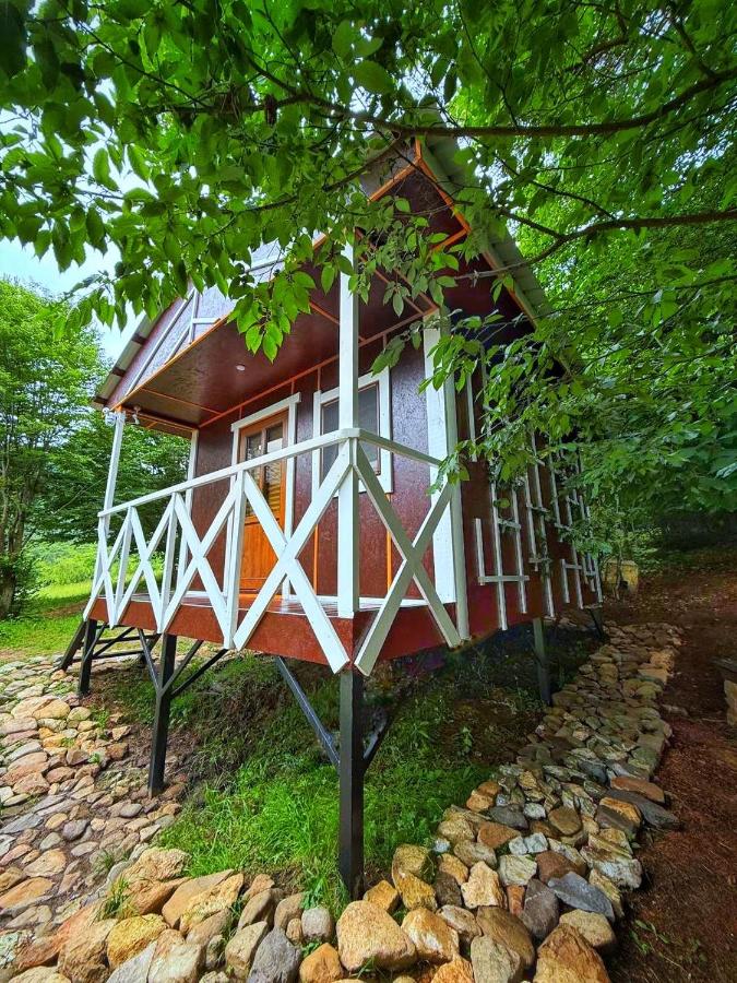 Maison de Vacances