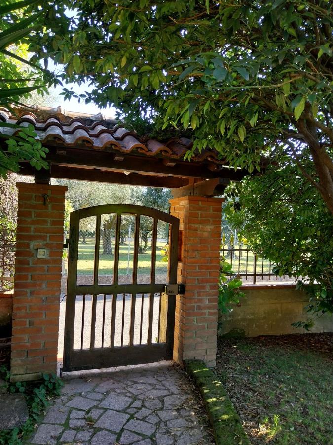 La Casa Gialla Versilia - B&B Montignoso