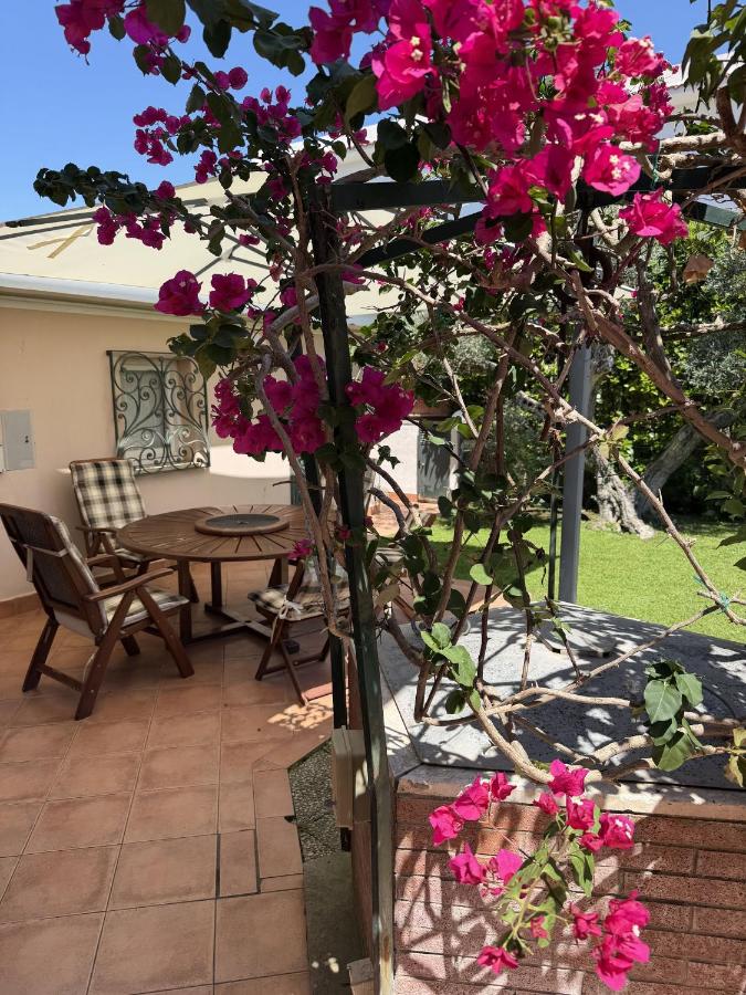 Villa Rosa - Chambres d'hôtes San Felice Circeo