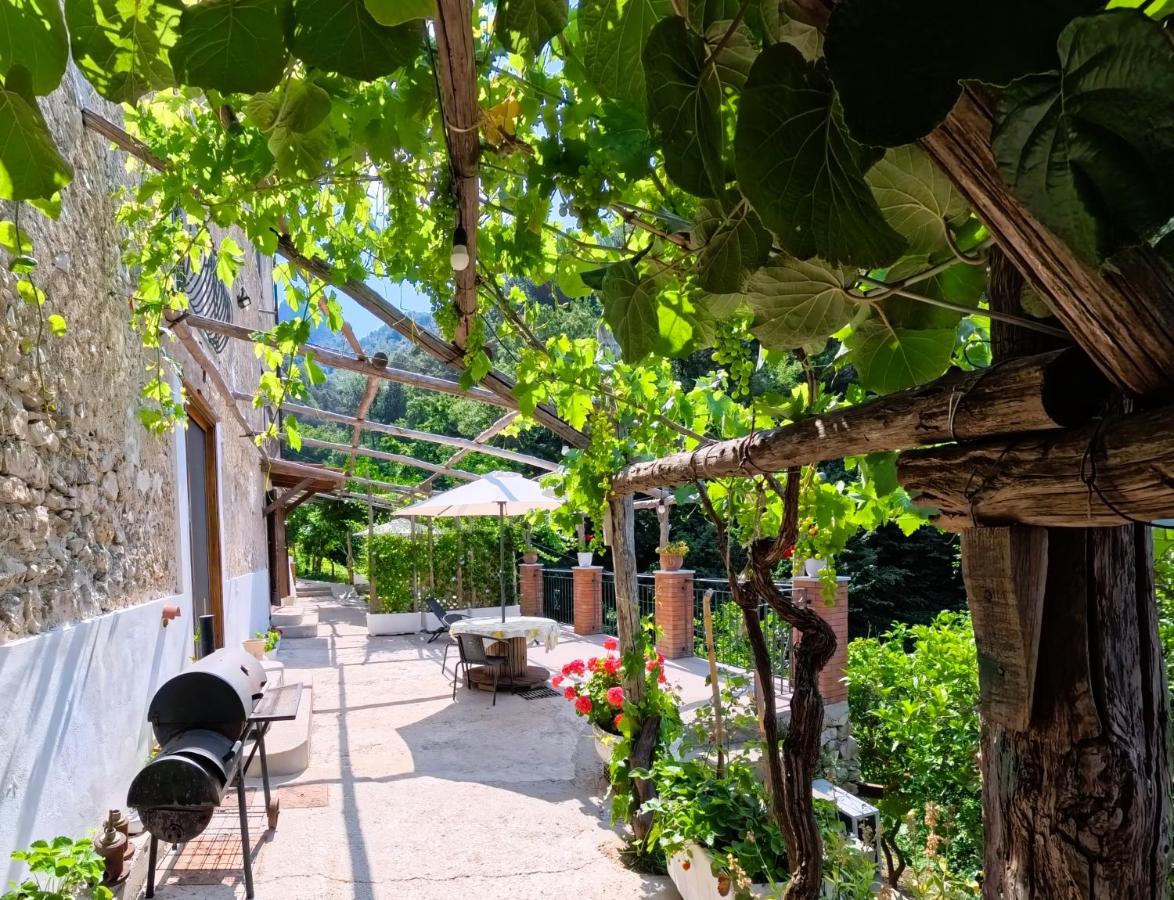 Casale Gelsi - B&B Maiori