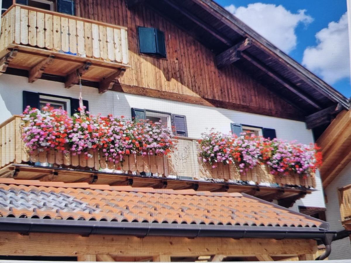 Residence Le Rose - Bed and Breakfast Pozza di Fassa